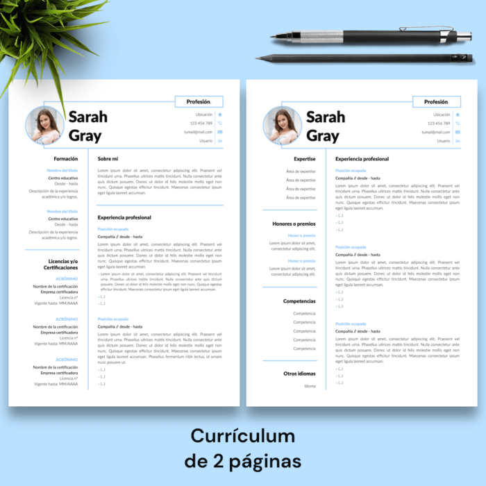 Currículum Sarah Gray - 03 - 2 páginas