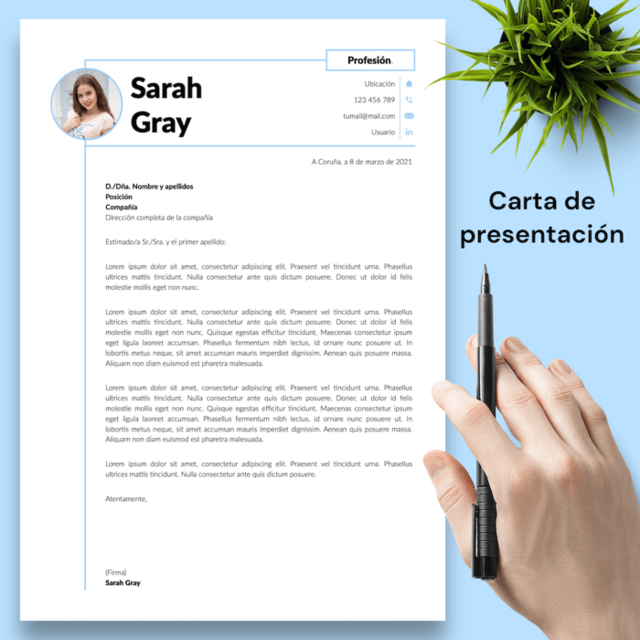 Currículum Sarah Gray - 04 - Carta de presentación