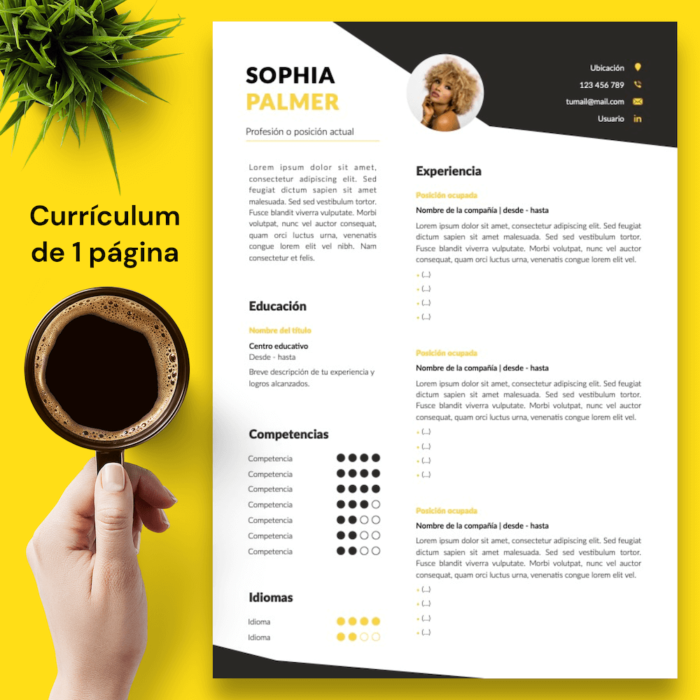 Currículum Sophia Palmer - 02 - 1 página