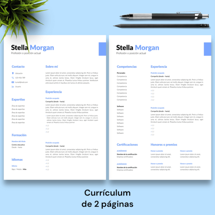 Currículum Stela Morgan - 03 - 2 páginas