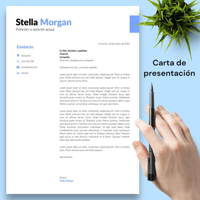 Currículum Stela Morgan - 04 - Carta de presentación