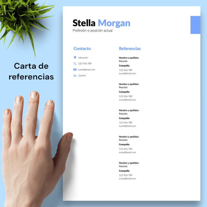 Currículum Stela Morgan - 05 - Carta de referencias
