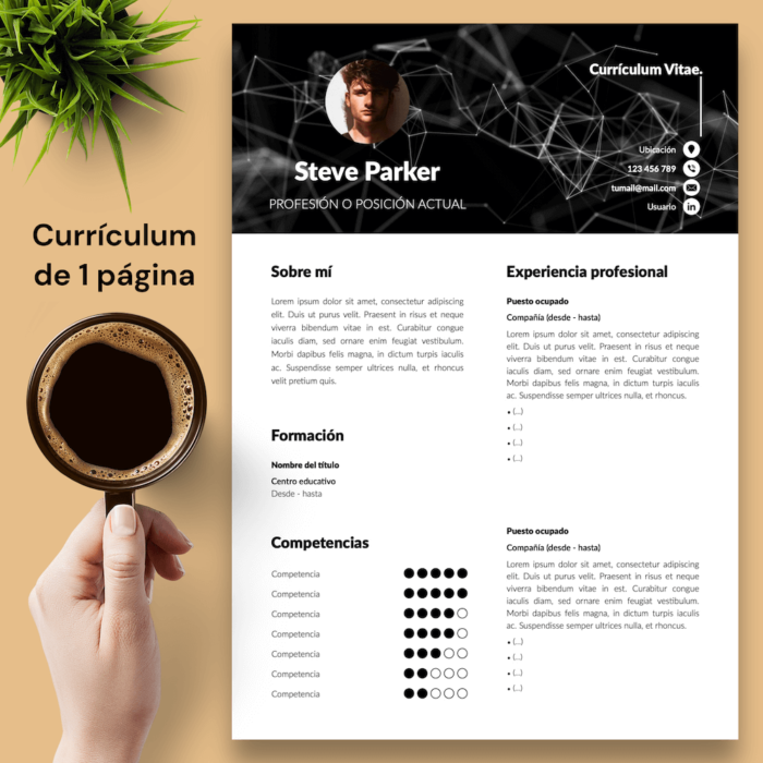 Currículum Steve Parker - 02 - 1 página