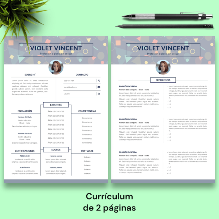 Currículum Violet Vincent - 03 - 2 páginas