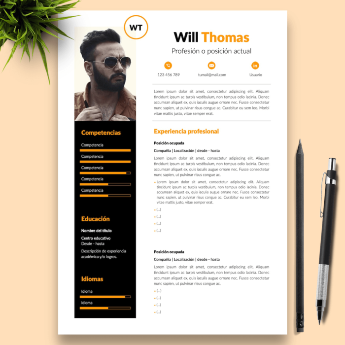 Currículum Will Thomas - 01 - Presentación